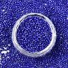 FGB 11/0 Grade A Glass Seed Beads X-SEED-S030-1024-3