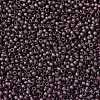 TOHO Round Seed Beads SEED-JPTR15-0006CF-2