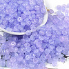 Transparent Colours Glass Seed Beads SEED-P008-01B-05-1