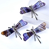 Natural Fluorite Dragonfly Home Desktop Decoration PW-WG25335-01-4