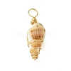 Natural Spiral Shell Pendants PALLOY-JF02793-01-3