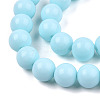 Opaque Solid Color Glass Beads Strands GLAA-T032-P4mm-10-1-3