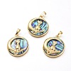 Natural Abalone Shell/Paua Shell Pendants BSHE-I014-02G-1