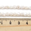 Natural Keshi Pearl Cultured Freshwater Pearl Beads Strands PEAR-P062-25E-5