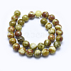 Natural Bloodstone Beads Strands G-I213-25-12mm-2