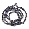 Natural Sodalite Chips Beads Strands F024-8