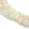 Natural White Moonstone Beads Strands G-P332-01-2