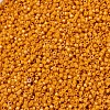 MIYUKI Delica Beads X-SEED-J020-DB2104-3