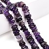 Natural Amethyst Beads Strands G-T141-06-2