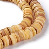 Natural Freshwater Shell Beads Strands X-BSHE-I016-04B-3