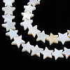 Natural Freshwater Shell Beads Strands SHEL-S278-01B-01-3