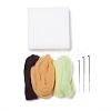 Succulent Plant Needle Felting Kit DIY-K053-07-2