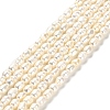 Natural Cultured Freshwater Pearl Beads Strands PEAR-E016-164-1