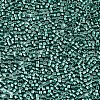 11/0 Grade A Glass Seed Beads SEED-S030-1209-2