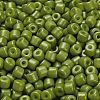 Baking Paint Pearlized Glass Seed Beads SEED-C001-04A-09-3