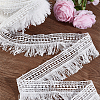 Fingerinspire 7~7.25 Yards Polyester Tassel Lace Trim DIY-FG0004-99-3