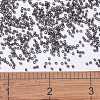 MIYUKI Delica Beads LS-X-SEED-J020-DB1319-4