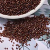 MIYUKI Delica Beads SEED-JP0008-DB1750-4