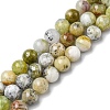 Natural Green Opal Beads Strands G-C029-02A-1