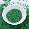 MIYUKI Delica Beads LS-X-SEED-J020-DB0655-2