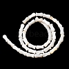 Natural Freshwater Shell Beads Strands SHEL-K006-08-3