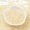 Baking Paint Glass Seed Beads X-SEED-S042-15B-25-2
