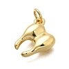 Brass Charms KK-C087-03G-2