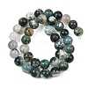 Natural Tree Agate Beads Strands X-G-I199-03-10mm-5