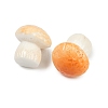 Mushroom Themes Resin Display Decorations DJEW-S002-01B-2