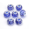 Handmade Luminous Lampwork European Beads LAMP-Q029-35B-1