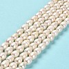 Natural Cultured Freshwater Pearl Beads Strands PEAR-E016-191-2
