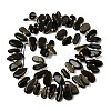 Natural Golden Sheen Obsidian Beads Strands G-L649-A04-01-3