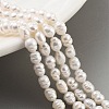 Natural Cultured Freshwater Pearl Beads Strands PEAR-P062-20-2