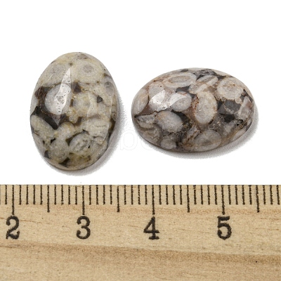 Natural Maifanite Cabochons G-C115-01A-30-1