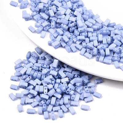 FGB 2-Hole Baking Paint Glass Seed Beads SEED-S031-M-SH494FR-1