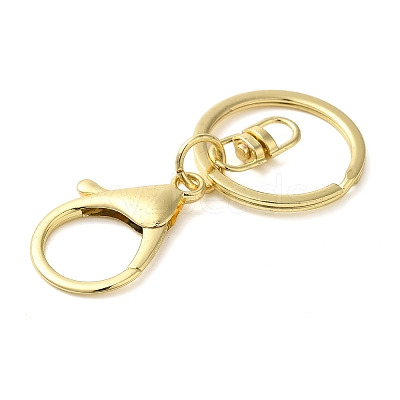 Alloy Keychain Clasp Findings X-KEYC-D050-03G-1