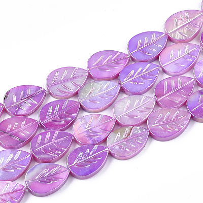 Freshwater Shell Beads Strands SHEL-S274-61-1