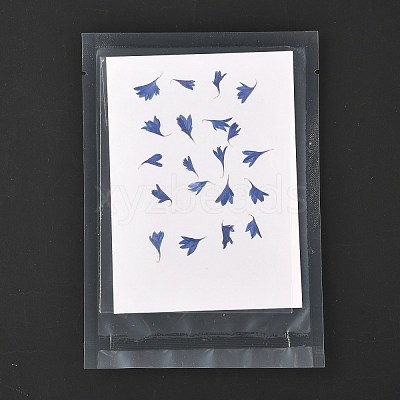 Cornflower Embossing Dry Flower DIY-K032-62B-1