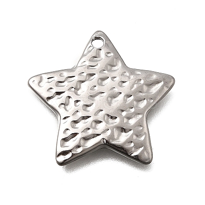 304 Stainless Steel Pendants STAS-Z163-01P-01-1