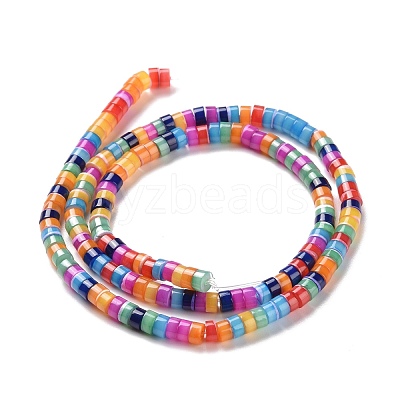 Natural Trochid Shell Beads Strands SSHEL-G023-02C-02-1