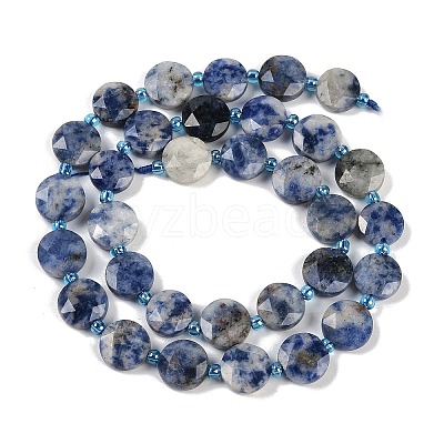 Natural Blue Spot Jasper Beads Strands G-C116-A79-01-1