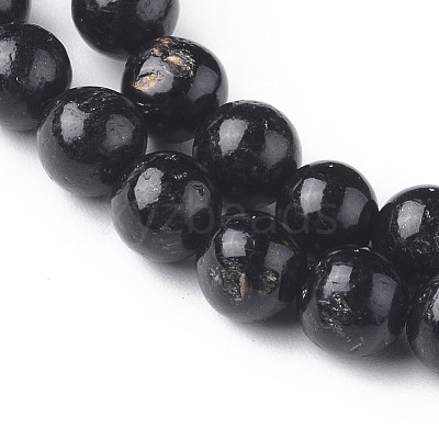 Natural Biotite Beads Strands G-L528-06D-1