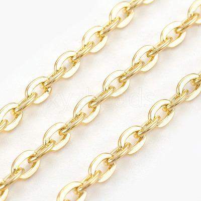 Iron Cable Chains CH-0.8PYSZ-G-1