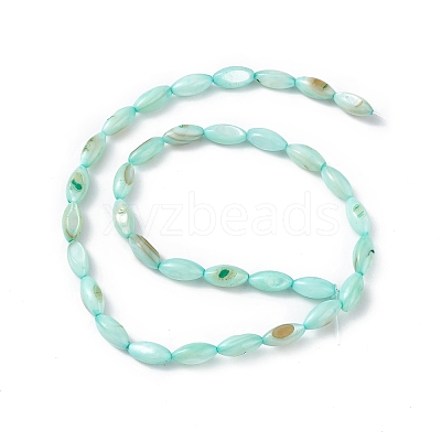 Natural Freshwater Shell Dyed Beads Strands SHEL-M018-13-02-1