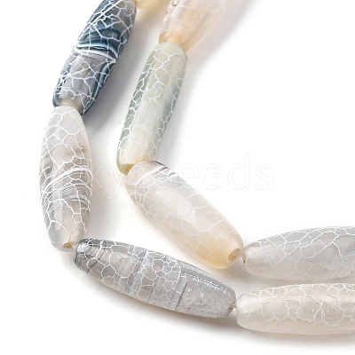 Natural Weathered Agate Beads Strands G-P570-C02-01-1