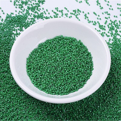 MIYUKI Delica Beads LS-X-SEED-J020-DB0655-1