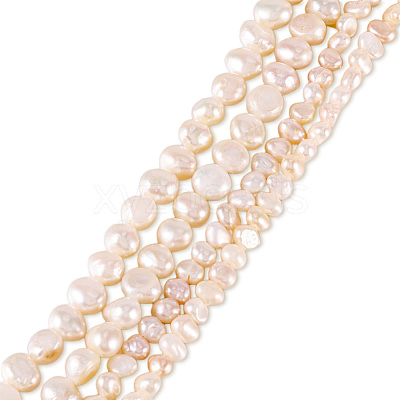 2 Strands 2 Srtyles Natural Cultured Freshwater Pearl Beads Strands PEAR-TA0001-20-1
