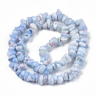 Natural Freshwater Shell Beads Strands SHEL-N003-23-B02-1