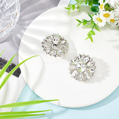 2Pcs Alloy Rhinestone Shoe Decorations AJEW-FG0003-72A-1