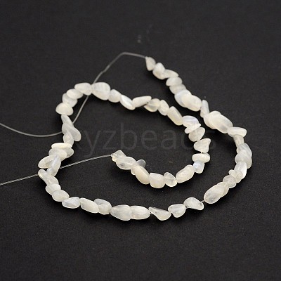 Natural White Moonstone Bead Strands G-J280-01-1